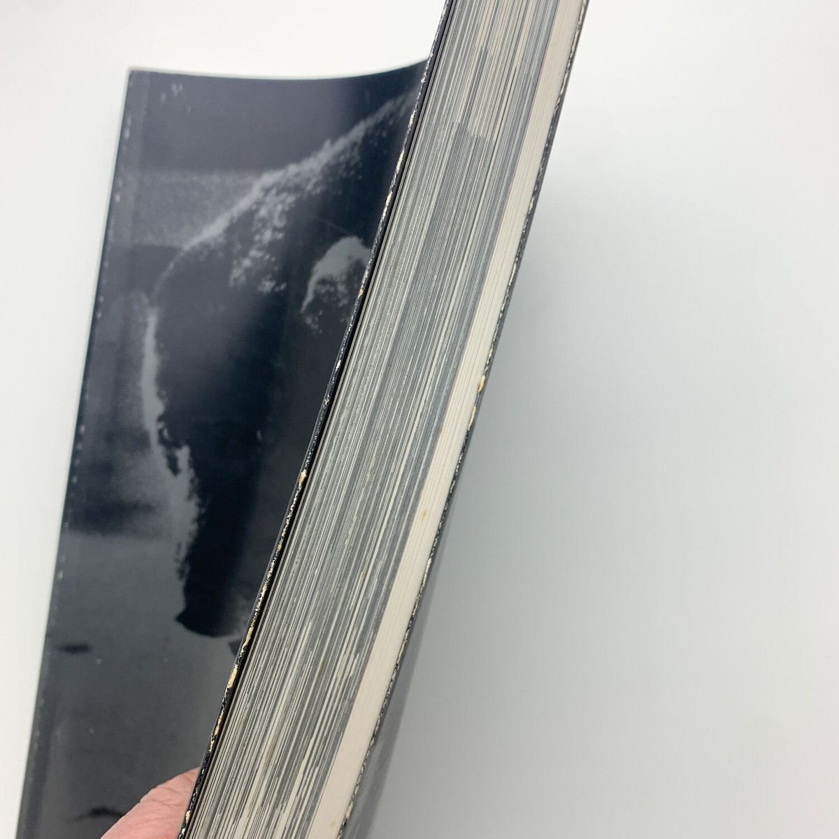 光の狩人 森山大道 1965-2003 | 玄玄書林