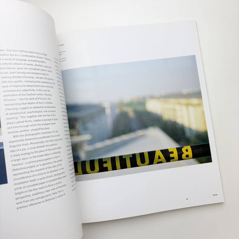 Roni Horn | 玄玄書林