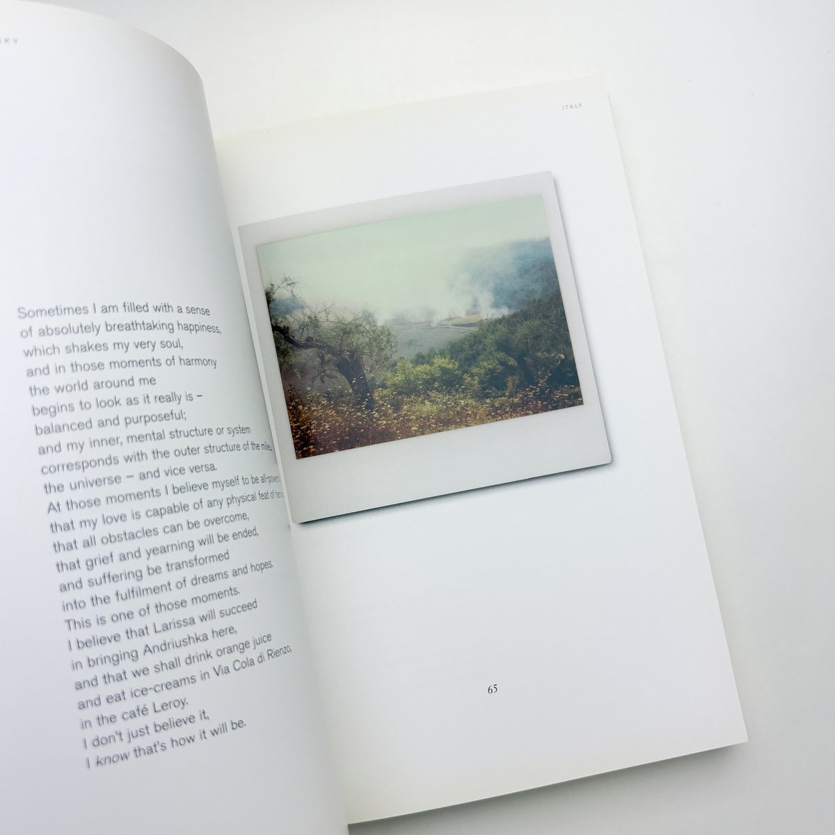 Instant Light: Tarkovsky Polaroids | 玄玄書林