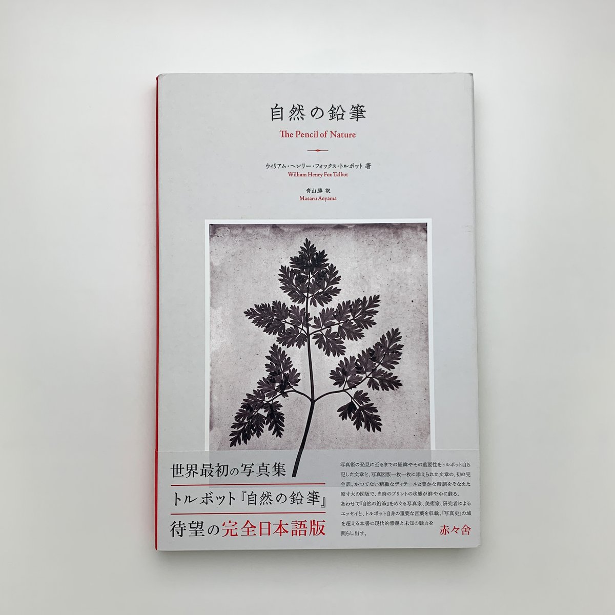 William Henry Fox Talbot ｜自然の鉛筆 自然の鉛筆 | ウィリアム・ヘンリー・フォックス・ トルボット