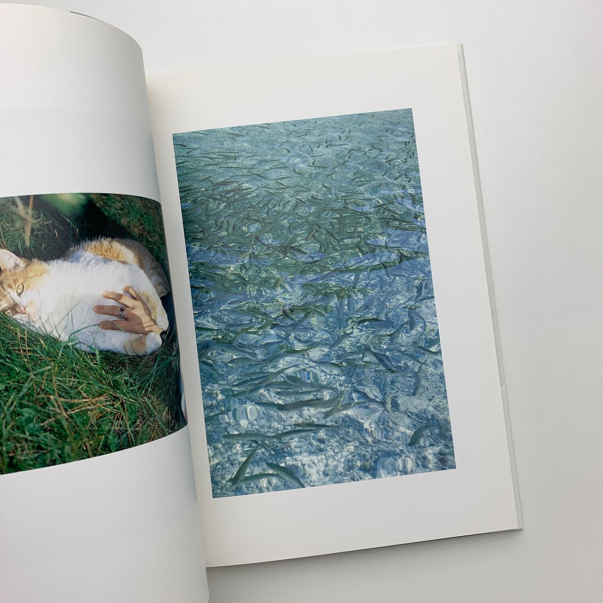 Aus den Fugen　古屋誠一 Aus den Fugen｜古屋誠一 | 玄玄書林