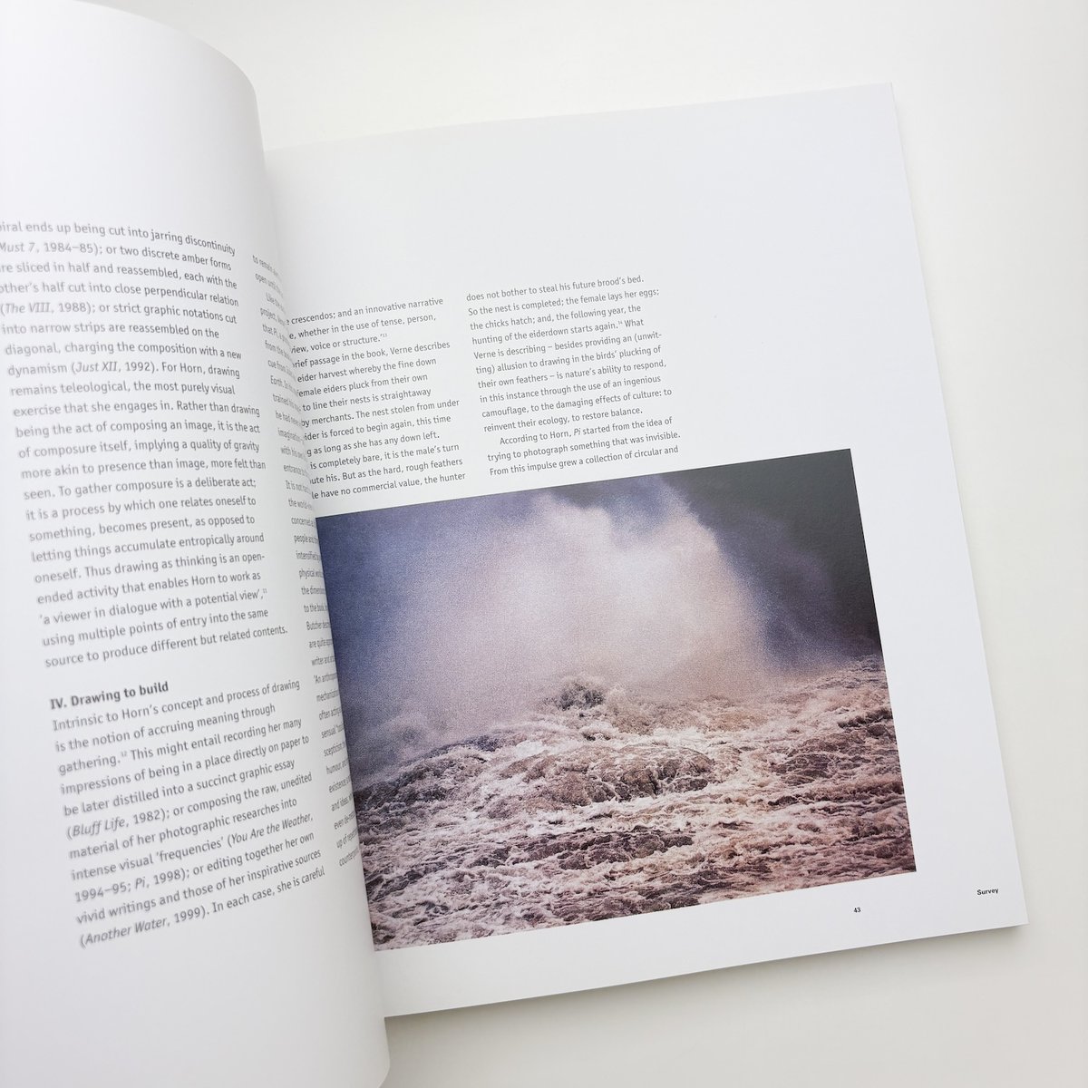 Roni Horn | 玄玄書林