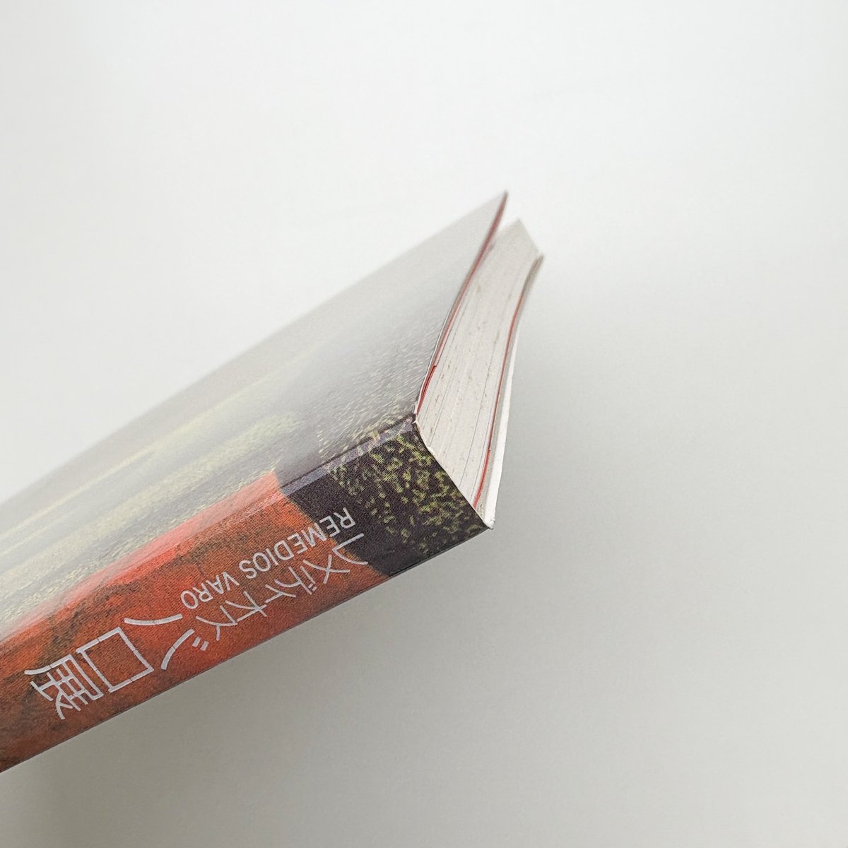 レメディオス・バロ展 | 玄玄書林