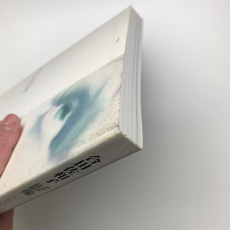 合田佐和子 影像 絵画・オブジェ・写真 | 玄玄書林