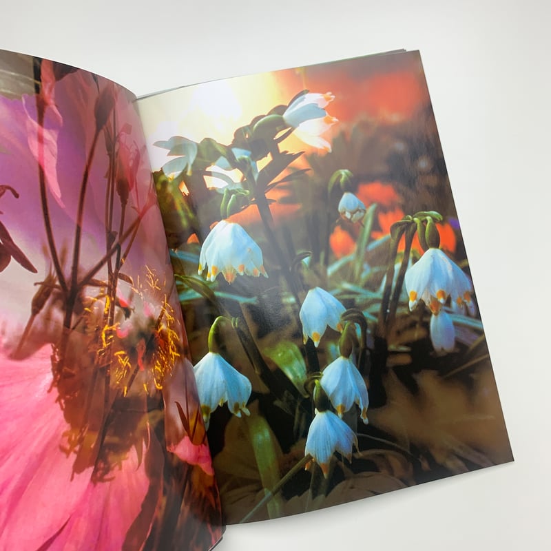 Peter Fischli David Weiss 作品集 Peter Fischli David Weiss: Musee d'Art Moderne