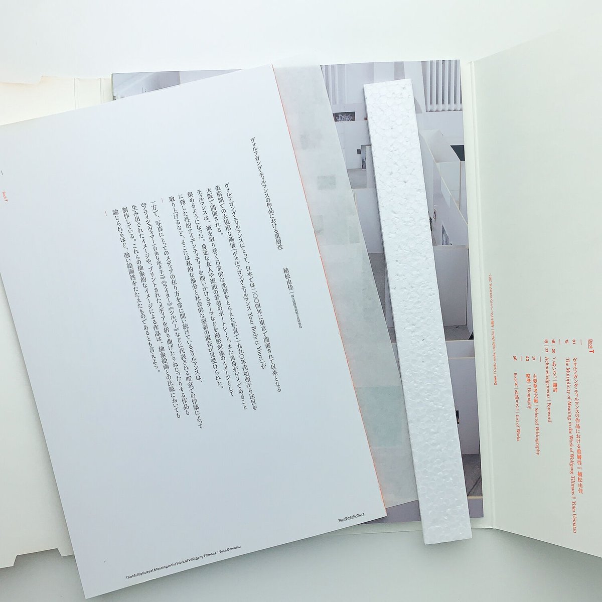 ヴォルフガング・ティルマンズ ヴォルフガング・ティルマンス,Wolfgang Tillmans|@GALLERY TAGBOAT