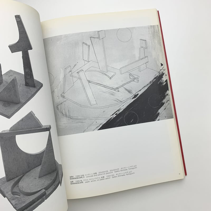 SHIRAKAWA 白川昌生作品集 | 玄玄書林