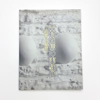 Karl Schmidt-Rottluff: Eine Monographie | 玄玄書林