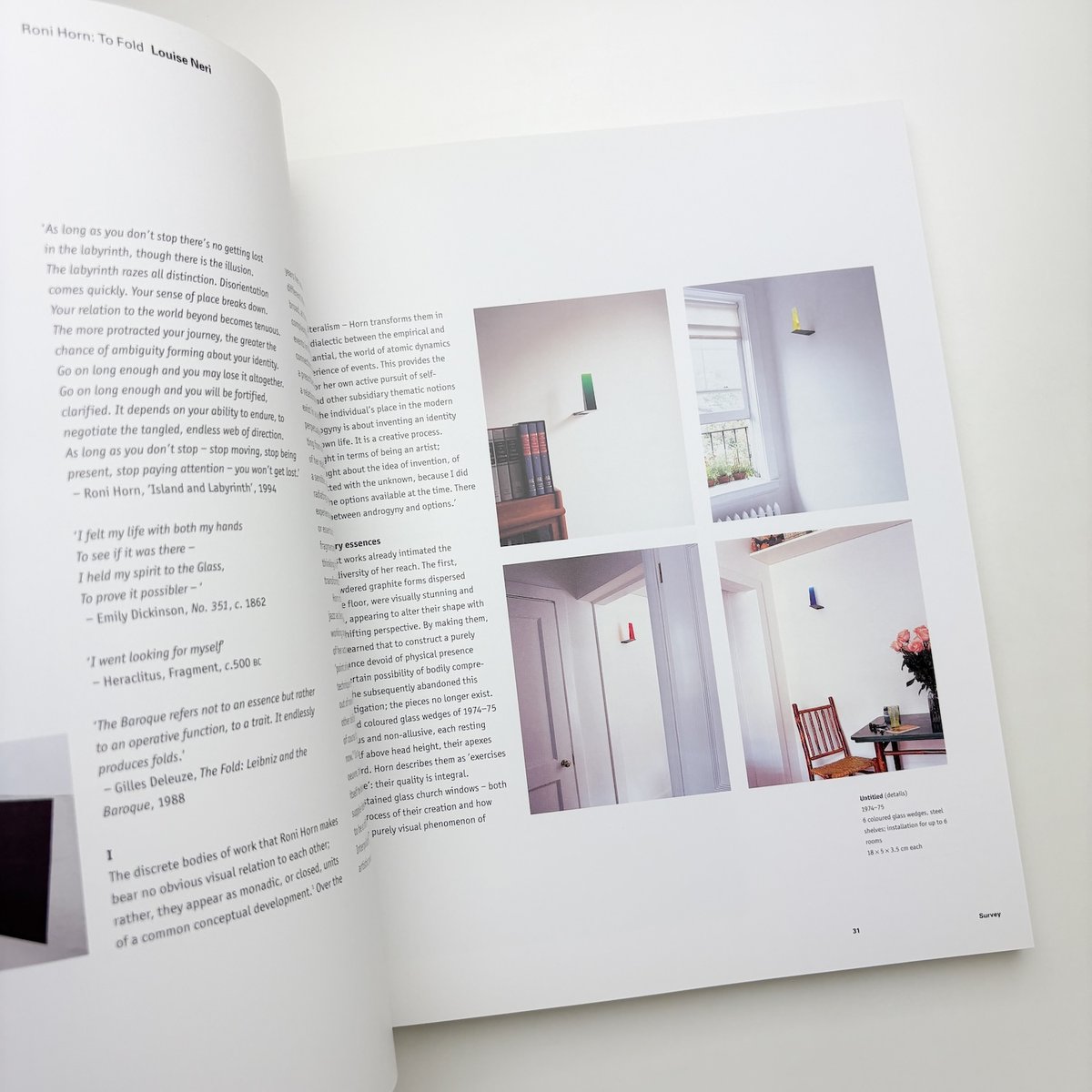 Roni Horn | 玄玄書林