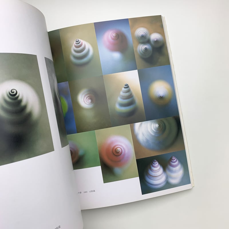 合田佐和子 影像 絵画・オブジェ・写真 | 玄玄書林