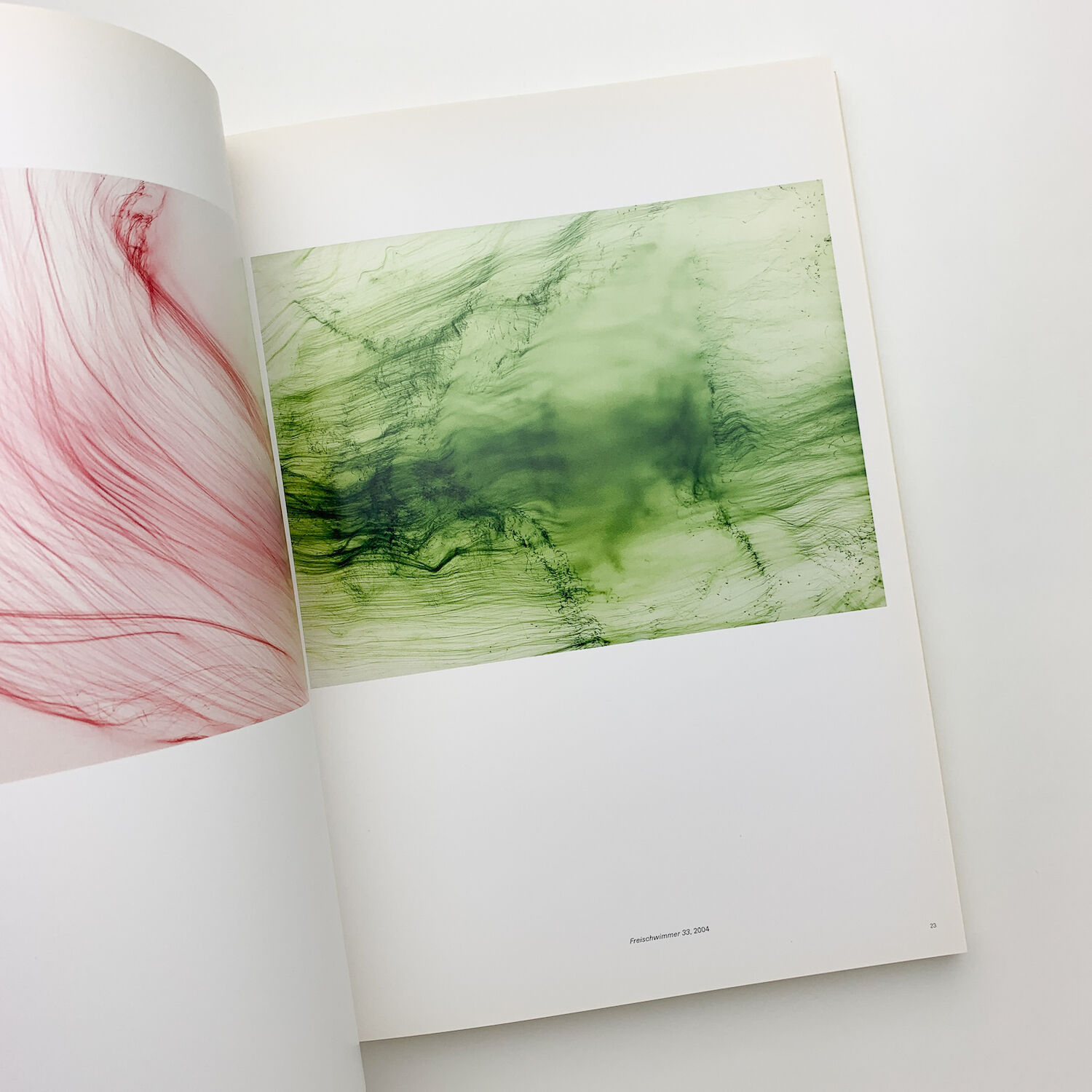 Wolfgang Tillmans｜Freischwimmer | 玄玄書林