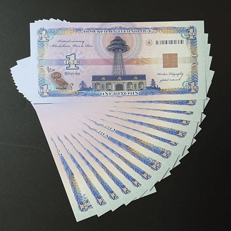 仮想通貨（模擬紙幣）1ビット札 24枚