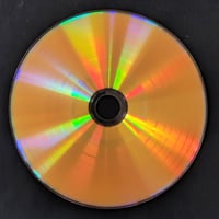 GOLD DISC(bright） | telomeregroup.shop