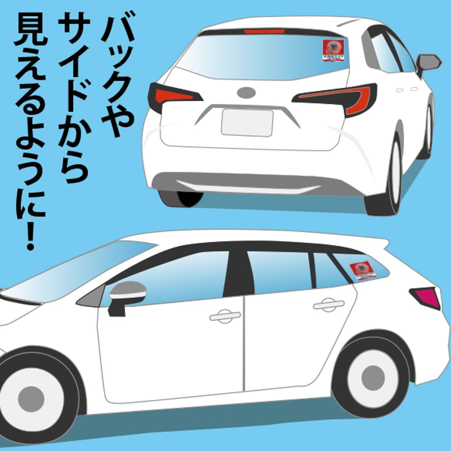 654ca66a2987f60028b8d891
