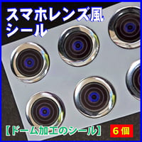 スマホレンズ風シール！【ドーム加工のシール】1シートに6個