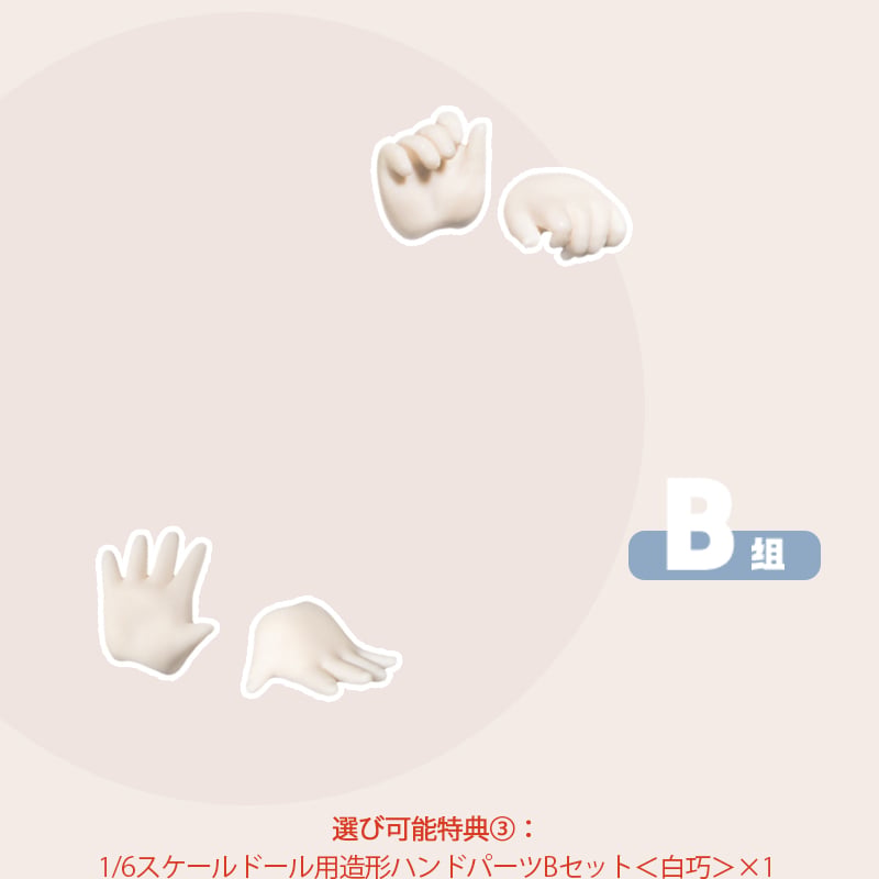 予約販売：2024年9月中 お届け予定】※当店限定選び特典付き※TinyFox