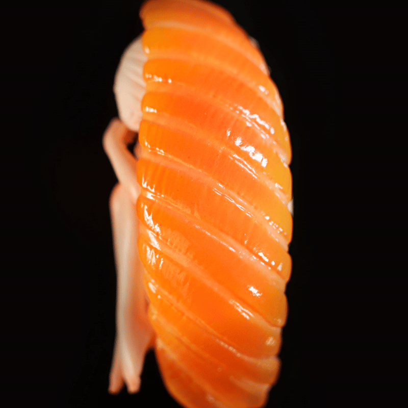 ○Sushi Fairies(寿司の妖精・Shrimp)塗装済み完成品○ ○Sushi