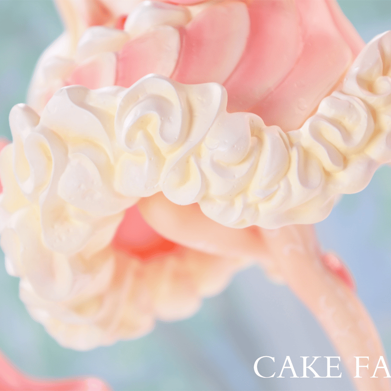 予約販売：2026年5月 お届け予定】WEARTDOING Cake Fairies-Str