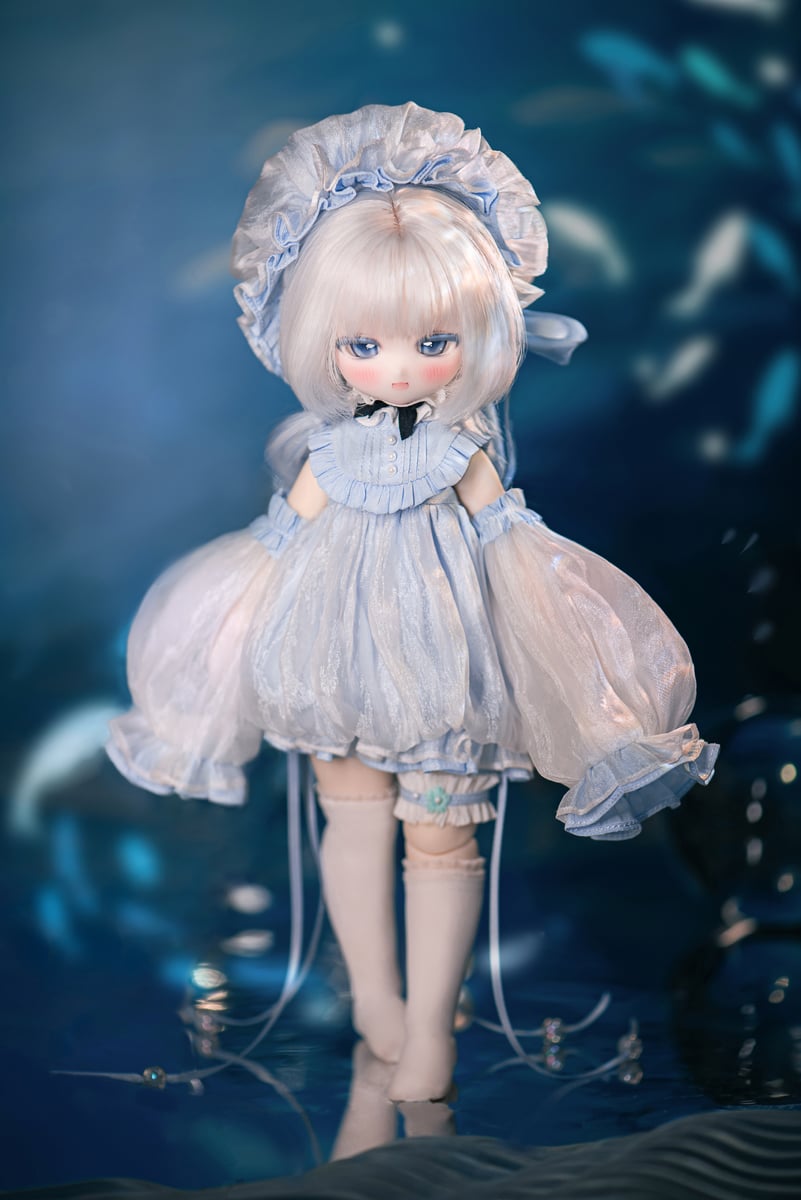 予約販売：2024年9月中 お届け予定】※当店限定選び特典付き