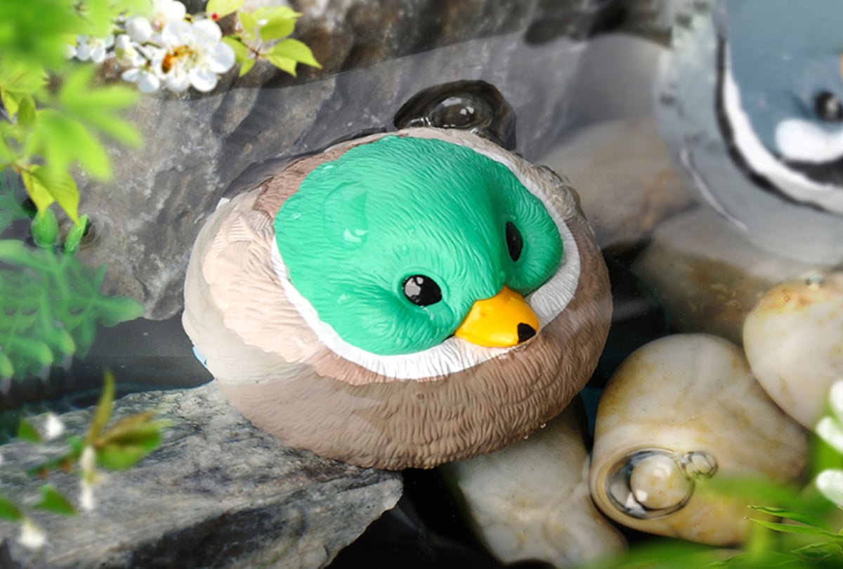 ❤ひよこ。さま❤MoneyTree❤ 予約販売：12月下旬～1月上旬 お届け予定】DODOWO ぽっちゃり