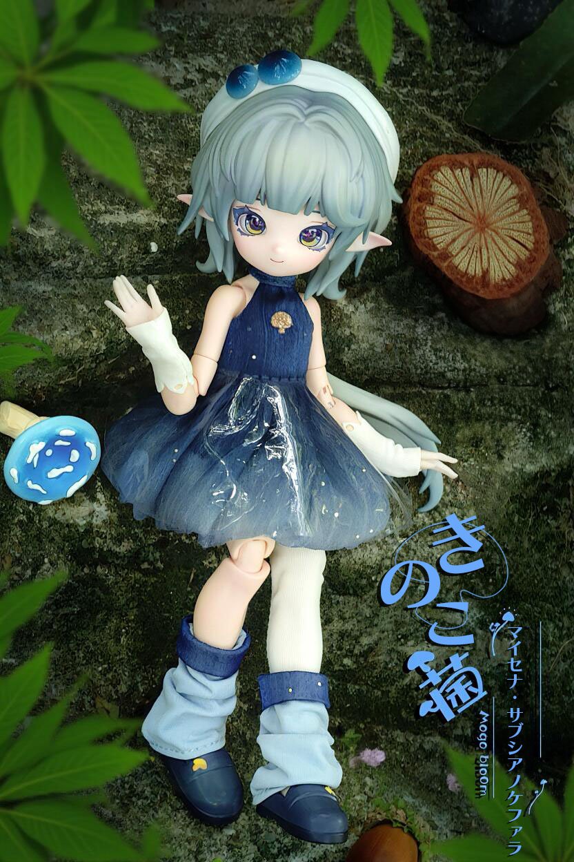 予約販売：2026年1月～2月頃 お届け予定】<公式限定初回予約特典