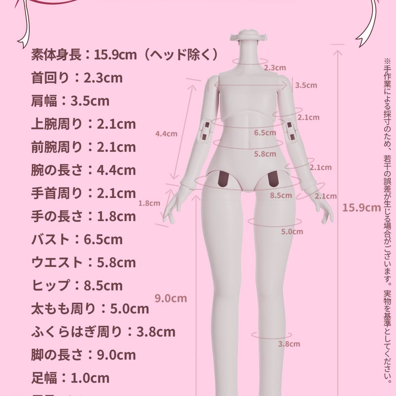 予約販売：2026年5月～6月頃 お届け予定】<公式限定初回予約特典付き