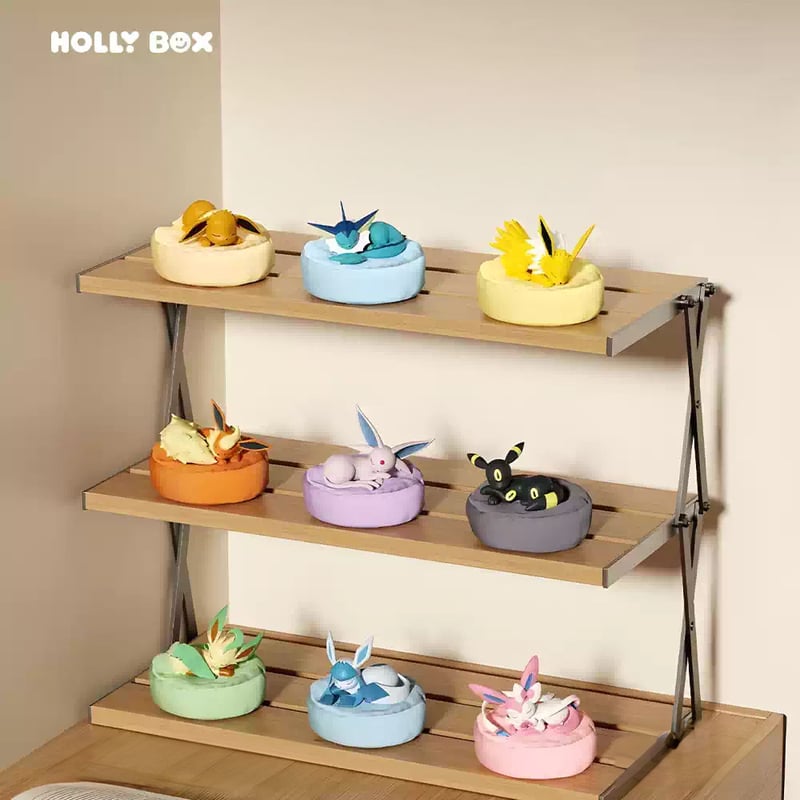ポケットモンスター　イーブイ　オプションセット 予約販売：5月頃 お届け予定】HOLLY BOX x ポケットモンスター