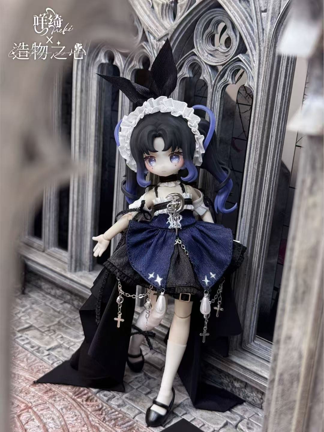 ミ*)様 2025実生苗セットj fit=scale-down,w=1200