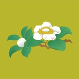 和みの工房大樹(たいじゅ) STORE