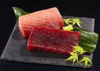 送料無料★極上中トロ＆極上赤身