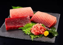 送料無料★極上中トロ&赤身セット