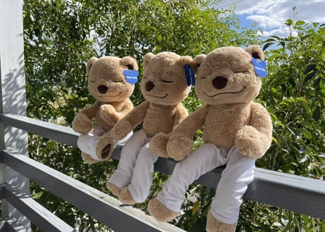 【正規品】Meddy Teddy