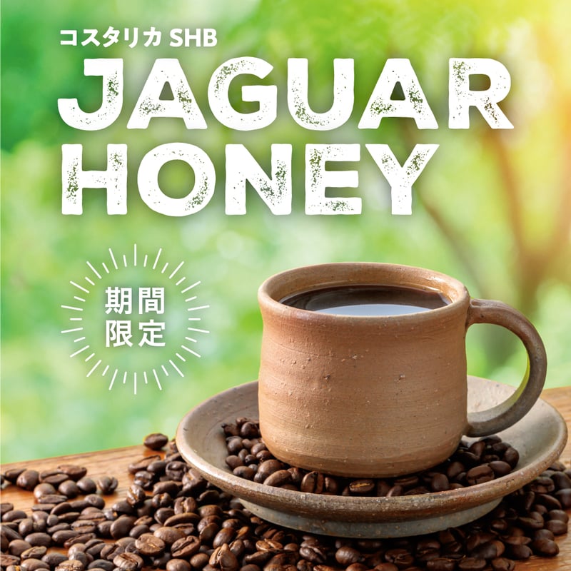 期間限定】コスタリカ SHB ジャガーハニー[200g] | 倉式珈琲オンライン