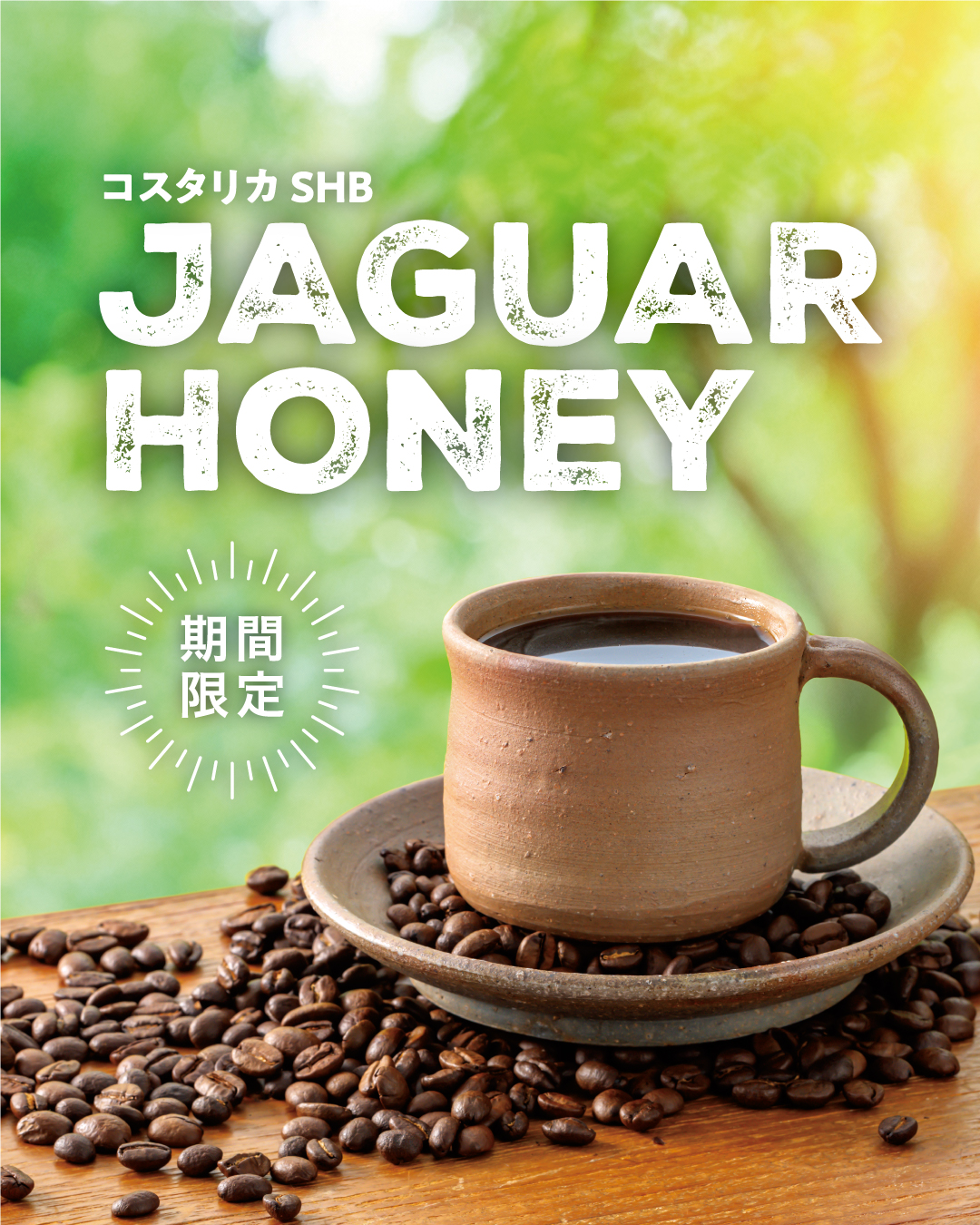 期間限定】コスタリカ SHB ジャガーハニー[200g] | 倉式珈琲オンライン