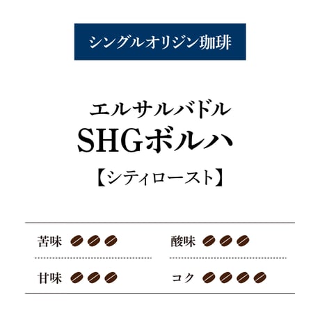 【通販限定】珈琲豆■100g３種セット(おすすめ飲み比べ①)