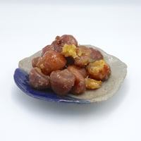 丹波栗蜜漬-極-