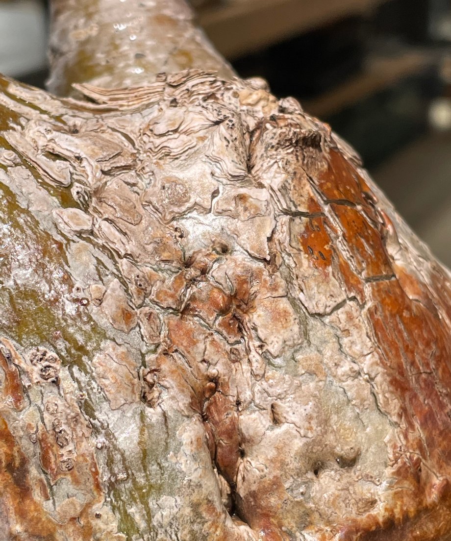 6a12cdab3626e44c02879549