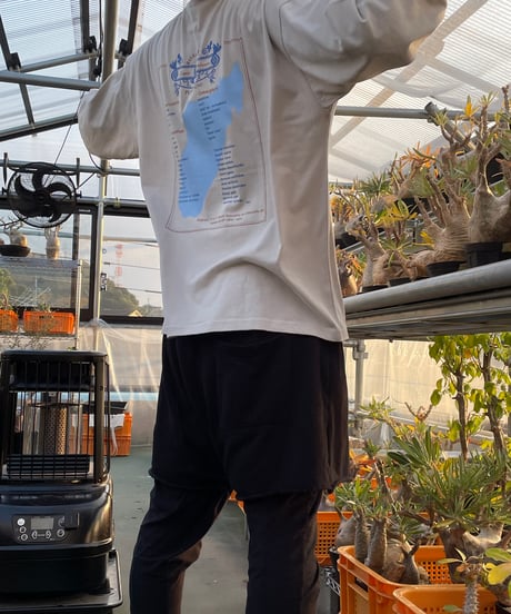 【ポスト投函便送料無料】ビッグシルエット ロングスリーブ Tシャツ【PLANTS MENU ビッグシルエットT】WHITE,FROST GREY,SAND BEIGE
