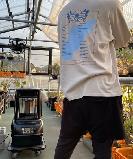 【ポスト投函便送料無料】ビッグシルエット ロングスリーブ Tシャツ【PLANTS MENU ビッグシルエットT】WHITE,FROST GREY,SAND BEIGE