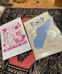 ブーファン ハエマンソイデス 発根済 ダブル (bh-002) | RISE-CAUDEX