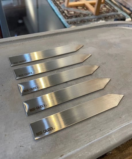 ✳* エリコイデス ✳* 挿し穂 ✳* エリコイデス ✳* 挿し穂 ✳* エリコイデス ✳* 挿し穂 【公式通販】