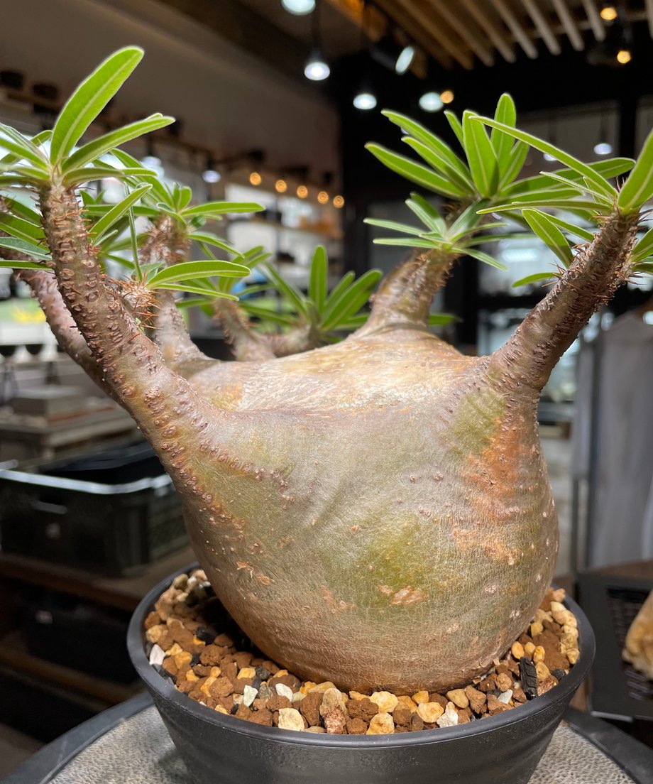 6873415740aa6277d33d7842