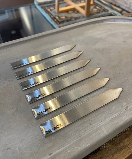 CATEGORY その他 | RISE-CAUDEX ONLINE STORE