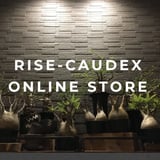 RISE-CAUDEX ONLINE STORE