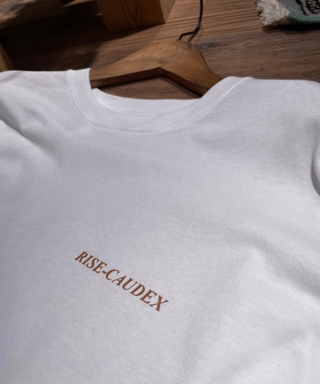 【ポスト投函便送料無料】ビッグシルエット ロングスリーブ Tシャツ【PLANTS MENU ビッグシルエットT】WHITE,FROST GREY,SAND BEIGE