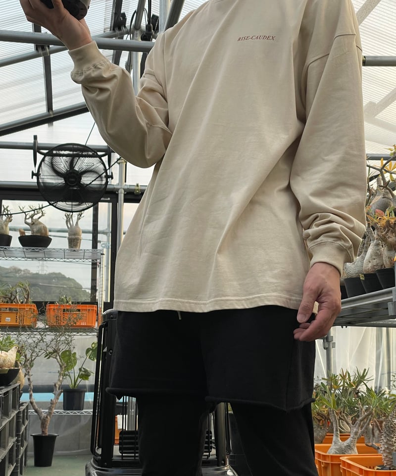 ポスト投函便送料無料】ビッグシルエット ロングスリーブ Tシャツ