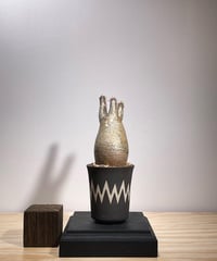 パキポディウム グラキリス　Pachypodium gracilius 　発根済　(商品番号gk-128valiem)VALIEM  (VALIEMタグ付き)