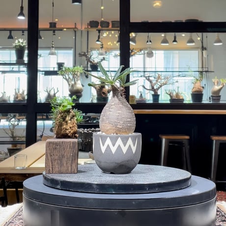 VALIEM バリエム BLOCK 鉢 valiem 鉢