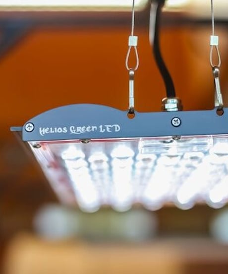 Helios Green LED PRO Booster303 　※電源ドライバー付き　(HGP-DR303) 送料無料