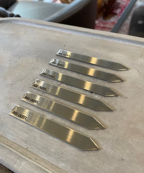 STAINLESS PLANTS TAG【RISE-CAUDEX original】　Ssize　6枚set　ステンレスタグ　(約8cm×1cm 厚み1mm) ヘアライン仕上げ 　【送料無料】